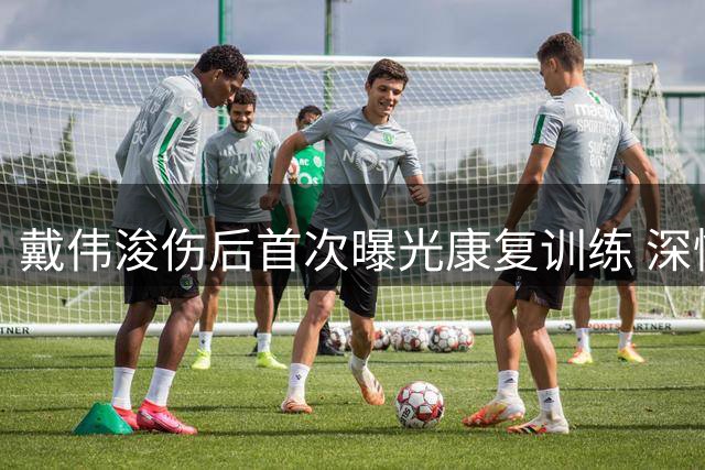 戴伟浚伤后首次曝光康复训练 深情致谢球迷支持