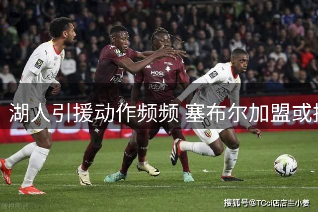 湖人引援动作频频 塞布尔加盟或挤压布朗尼生存空间
