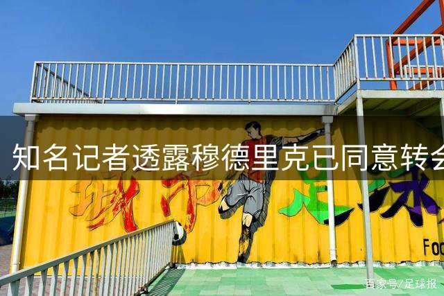 知名记者透露穆德里克已同意转会热刺 拒绝其他邀约